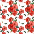 Watercolor hand painting floral seamless pattern with red hibiscus flowers blossom and green leaves on white background, Natural Royalty Free Stock Photo