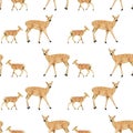 Watercolor hand ranw seamless pattern with deers isolated on white background
