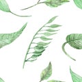 Watercolor hand painted nature jungle seamless pattern with green tropical leaves and eucalyptus branches Royalty Free Stock Photo