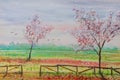 Watercolor handmade painting. Spring landscape with cherry blossom tree, meadow, wood fence and flying bird