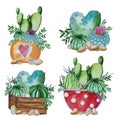 Watercolor handpainted set of cactus and succulent plant Royalty Free Stock Photo