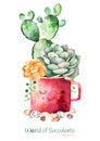 Watercolor handpainted succulent plant and cactus in pot and pebble stones.