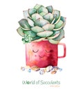 Watercolor Handpainted Succulent Plant In Pot And Pebble Stone.