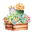 Watercolor handpainted succulent plant in wooden pot and cactus flowering. Royalty Free Stock Photo