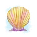 Watercolor handpaintrd seashell scallop