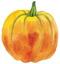 Watercolor orange pumpkin on isolated white background, watercolor illustration, hand drawing