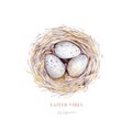 Watercolor happt easter nest with bird eggs with branch and feather isolated on white. Spring hand drawn illustration. Boho egg