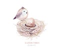 Watercolor happt easter nest with bird eggs with branch and feather isolated on white. Spring hand drawn illustration. Boho egg