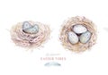 Watercolor happt easter nest with bird eggs with branch and feather isolated on white. Spring hand drawn illustration