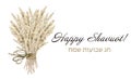 Watercolor Happy Shavuot greeting banner, Hebrew Chag Sameach illustration. Rural wheat ears bouquet with rope tied bow