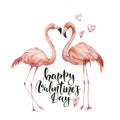 Watercolor Happy Valentine`s Day card. Hand painted Flamingo couple with hearts and lettering isolated on white