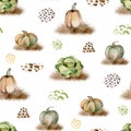 Watercolor harvest pattern. Pumpkin, cabbage in the garden.