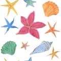 Watercolor shells and stars. Hand painting watercolor pattern.