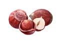 Watercolor hazelnut food nut Royalty Free Stock Photo