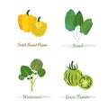 Watercolor healthy nature organic plant vegetable food ingredient scotch bonnet pepper sorrel watercress green tomato