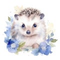 Watercolor hedgehog and flowers on a white background. AI generative Royalty Free Stock Photo