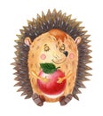 Watercolor hedgehog with red apple.One cartoon forest animal on a white background.