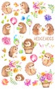 Watercolor Hedgehogs. Babies. Watercolor little animal clipart