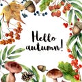 Watercolor Hello autumn frame. Hand painted floral frame with rowan, mushrooms, berries,acorn, pine cone, fall leaves Royalty Free Stock Photo