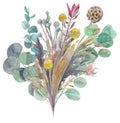 watercolor herbarium bouquet of dried flowers with eucalyptus leaves
