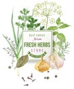 Watercolor herbs and spices Royalty Free Stock Photo