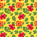 Watercolor hibiscus colorful botanical flowers, leaves, foliage, garland , tropical exotic jungle seamless repeat pattern