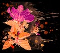 Watercolor - Hibiscus flower