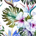 Watercolor hibiscus patterns