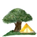Watercolor hiking composition oak tree yellow tent