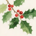Watercolor Holly Leaves & Berries Royalty Free Stock Photo