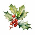 Watercolor Holly Leaves And Berries Clipart For Festive Atmosphere Royalty Free Stock Photo