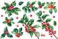 Watercolor holly set, flora for design. Holly branch, berries, green leaves isolated on white background. Winter plant Royalty Free Stock Photo