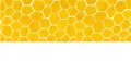 Watercolor honey horizontal border. Yellow honeycomb texture for beekeeping design