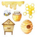 Watercolor honey set, beehive, honey, bees and honeycombs