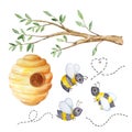 Watercolor honey set, tree branch, beehive and bees