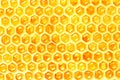 Watercolor Honeycomb background Royalty Free Stock Photo