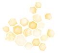 Watercolor Honeycomb Royalty Free Stock Photo