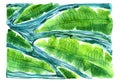 Watercolor green and blue banana leaves pattern.