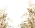 Watercolor horizontal frame of gold and green pampas grass. Hand painted linear border of exotic dry plant isolated on