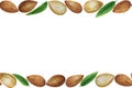 Watercolor horizontal seamless almond frame. White background Royalty Free Stock Photo