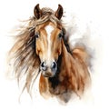 Watercolor horse, Brown horse portrait on a white background, horse riding sports