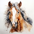 Watercolor horse, Brown horse portrait, horse riding sports