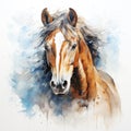 Watercolor horse, Brown horse portrait on a white background, horse riding sports Royalty Free Stock Photo