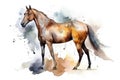 Watercolor horse illustration on white background Royalty Free Stock Photo