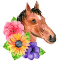 Watercolor Horse Portrait With Yellow Sunflowers Isolated On A White Background. Hand Painting Head Of A Brown Horse