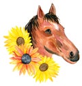 Watercolor Horse Portrait With Yellow Sunflowers Isolated On A White Background. Hand Painting Head Of A Brown Horse