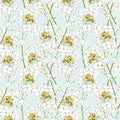 Watercolor horseradish flowers. Seamless pattern. Botanical illustration of organic, eco plant. Illustration For Food