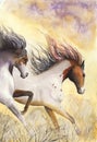 Watercolor horses in the desert Royalty Free Stock Photo