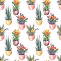 Watercolor houseplant pattern