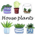 Watercolor houseplants in pots set